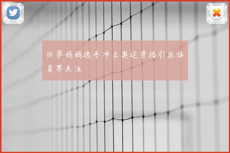 怀孕妈妈选手冲击奥运资格引发体育界关注